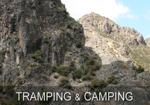 Camping and Tramping