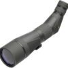 SX-4 PRO GUIDE HD 20-60X85MM ANGLED